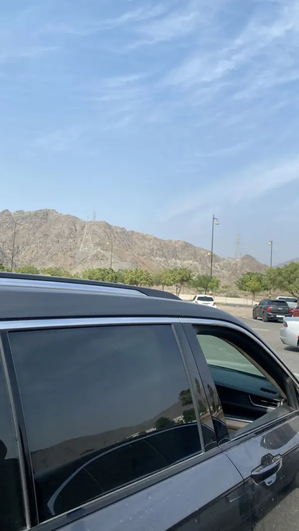 Emirati Genome Programme